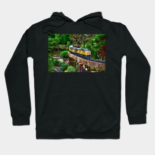 Model Trains Hoodie